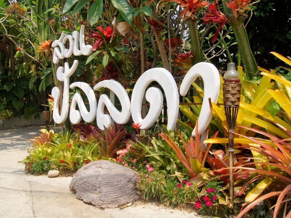 Farm stay Pallada Bromeliads Garden And Mae Rim