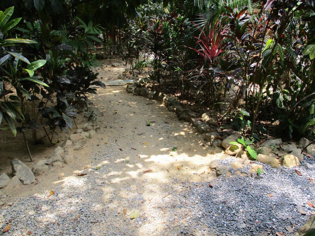 Guest house Khaosok Island *