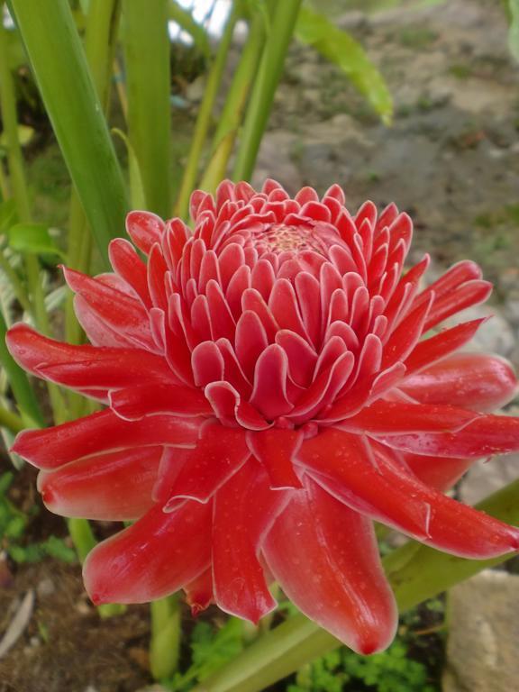 Starwell Garden 3* Wang Nam Khiao