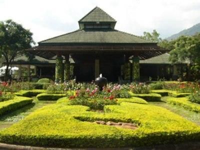 Botanic Hotel 3*