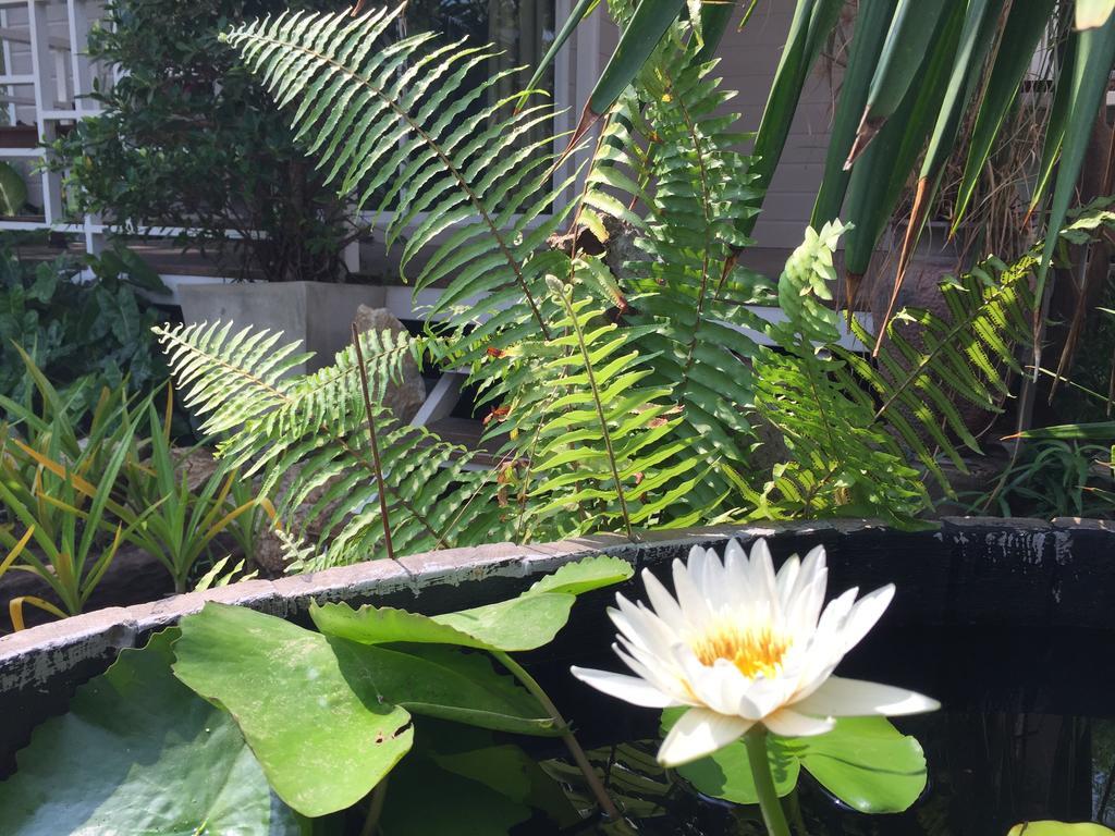Resort Rayonghouse
