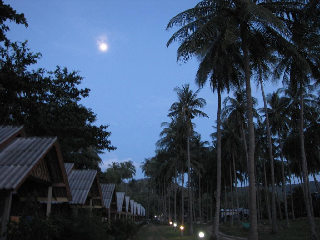 Chilli Koh Lanta