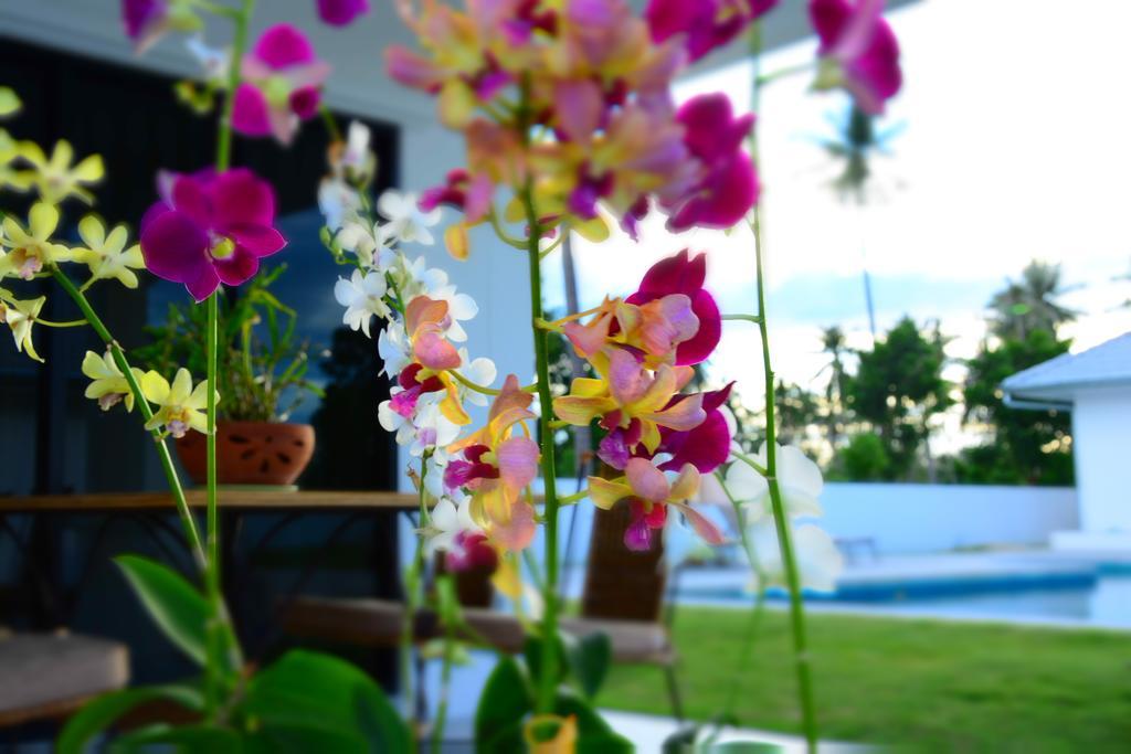 Mango Beach Thailand Ban Huai Yang