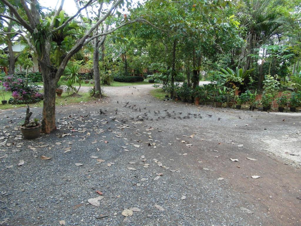 Baan Tai Rom Yen