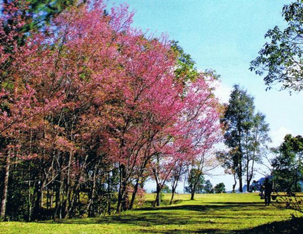 River Mountain Resort