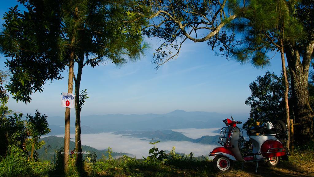 Phu Mork Dao Resort Pong Yaeng
