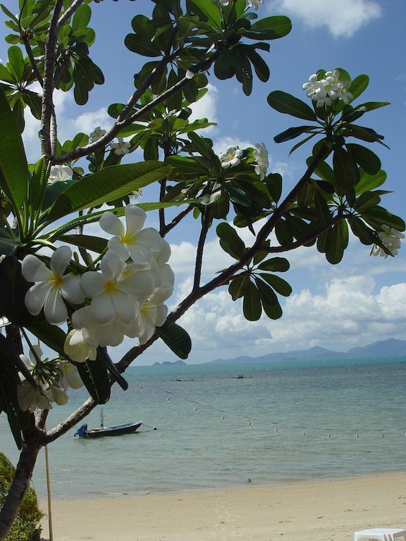The White Pearl Beach Club