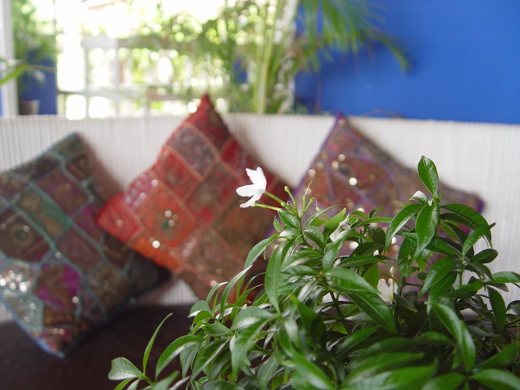 Guest house The White Pearl Beach Club 3*