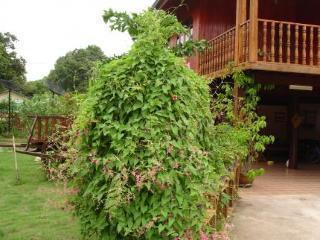 Bed & Breakfast Stc