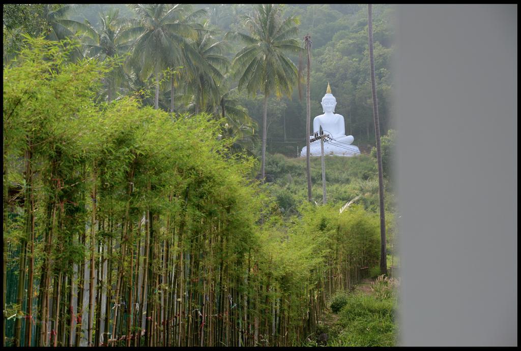 Design Square * Chaweng (Koh Samui)