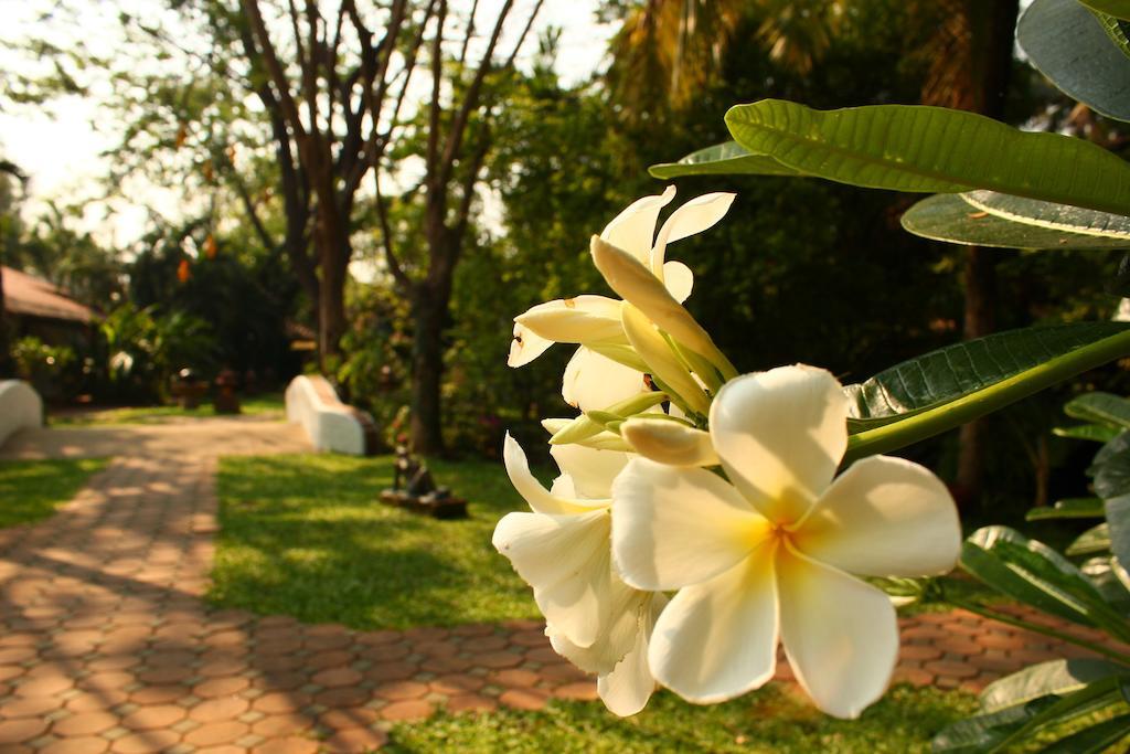 Secret Garden Chiangmai
