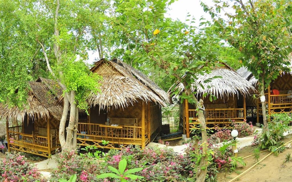 Hill Bamboo
