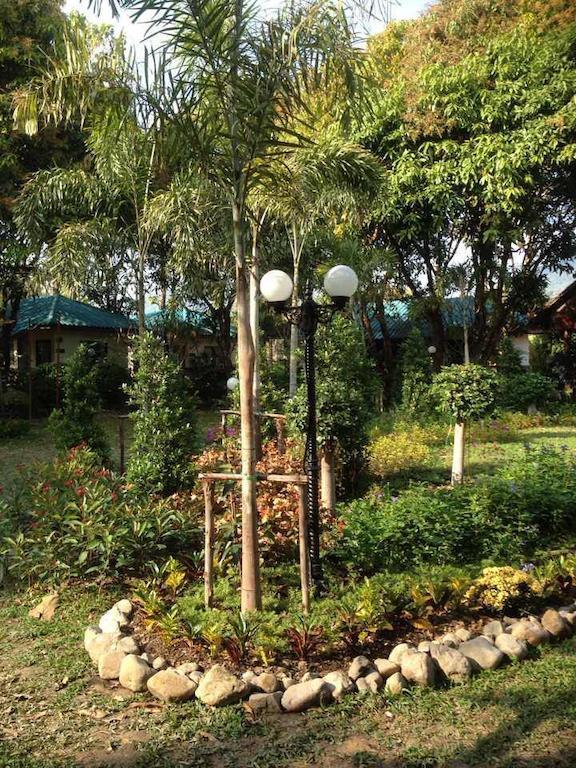 Aden Organic