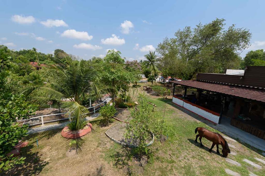 Cowboy Farm Pattaya Pattaya