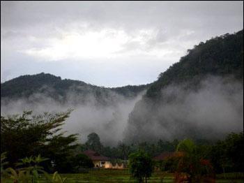 Naris Phuview