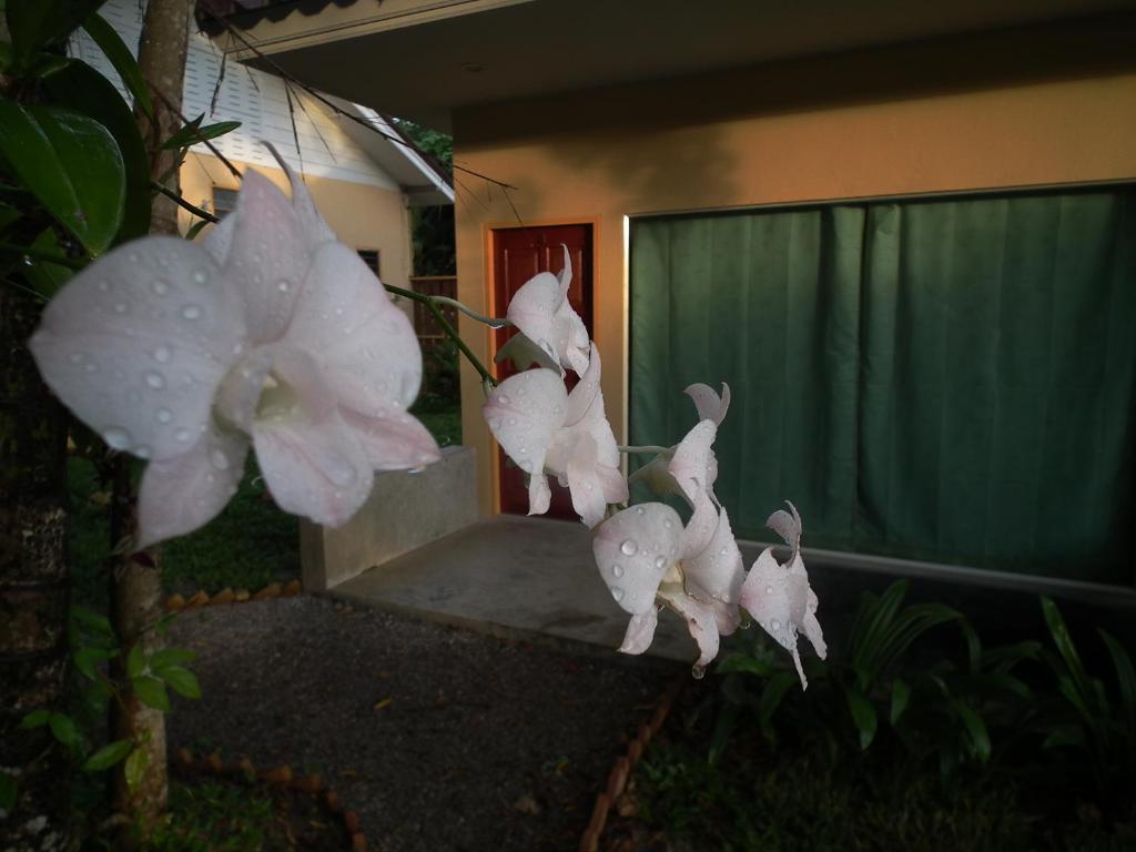 Guest house De Mama