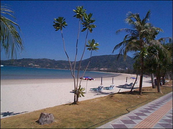 91 Patong Beach Phuket