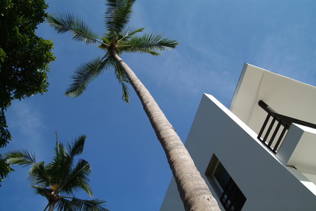 Apartment Design Square *