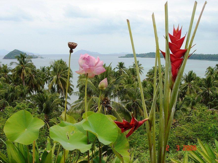 Baan Chai Lay Krua Tonhom Koh Mak