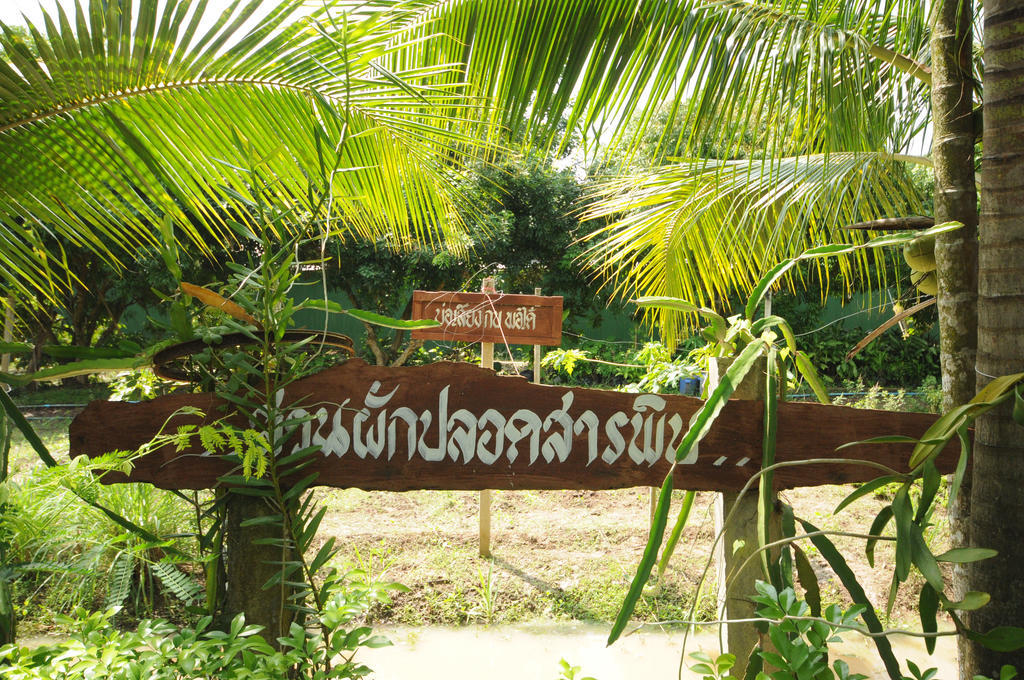 Baantip Suantong