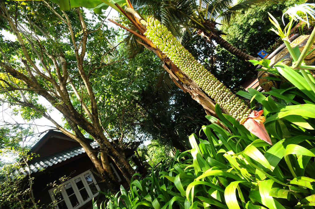 Resort Baantip Suantong