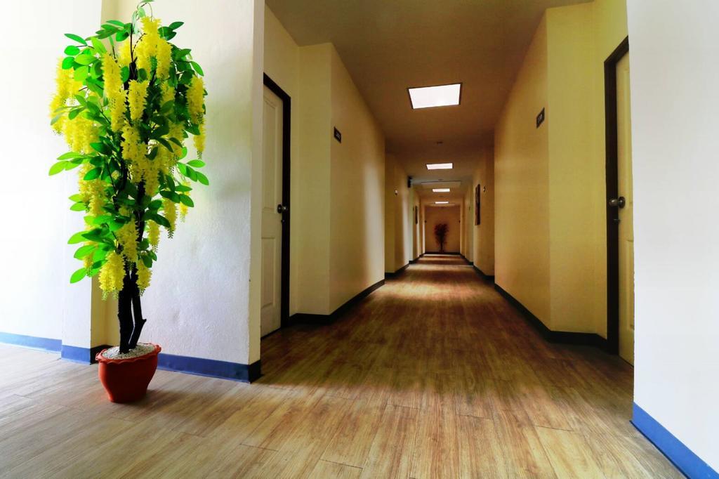 Apartment The Bless *