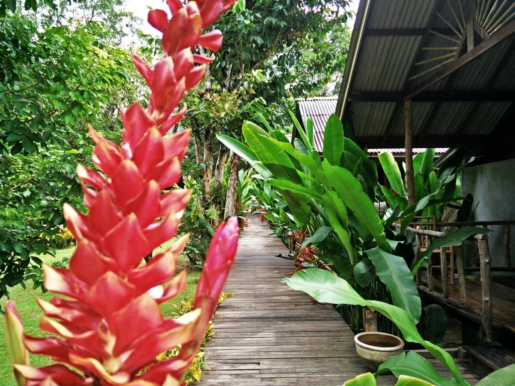 Resort Khao Sok