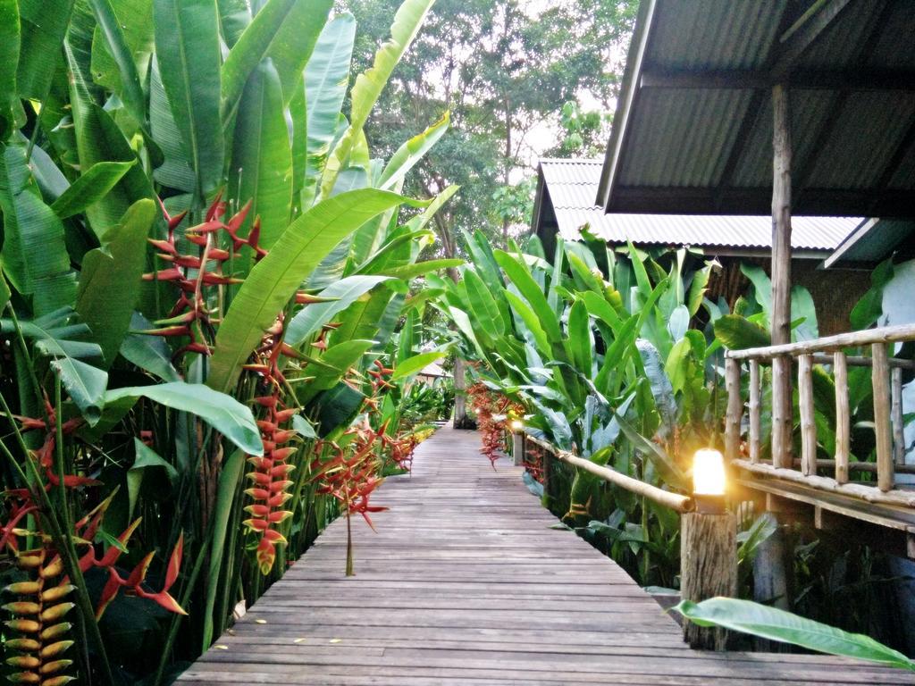 Khao Sok