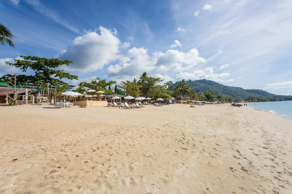 Coconut Lamai Beach (Koh Samui)