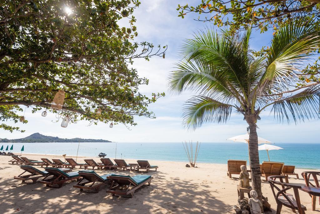 Hotel Coconut Lamai Beach (Koh Samui)
