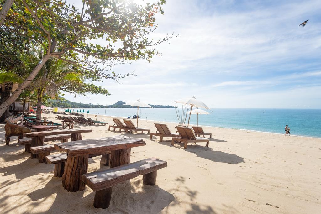 Coconut Lamai Beach (Koh Samui)