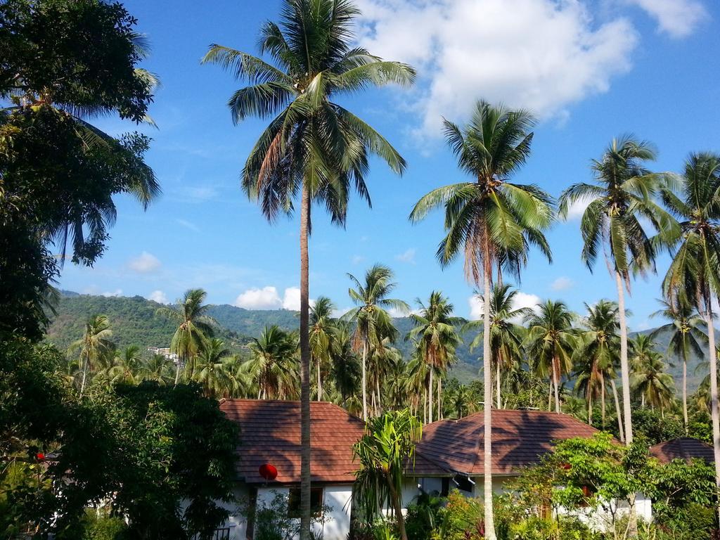 Tropical Season Mae Nam