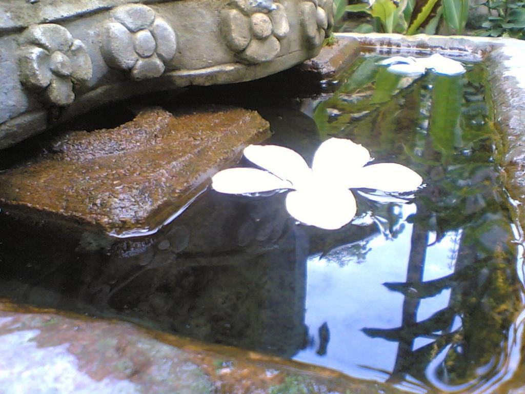 Ruen Kaew Phrae