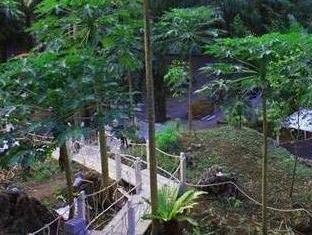 Homestay Rai Preda *
