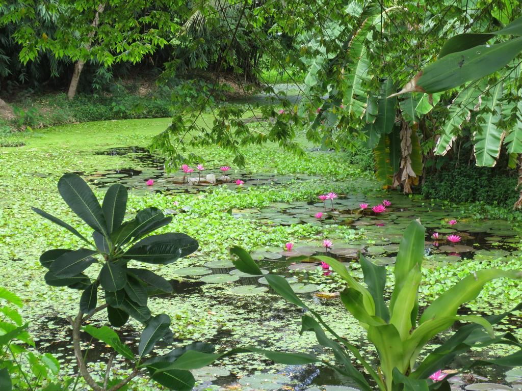 Resort Ban Tonnam Suan Phueng