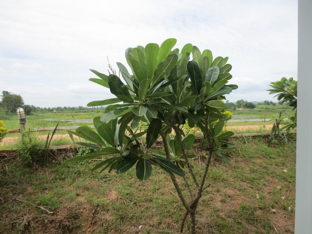 Resort Ban Tonnam 3*