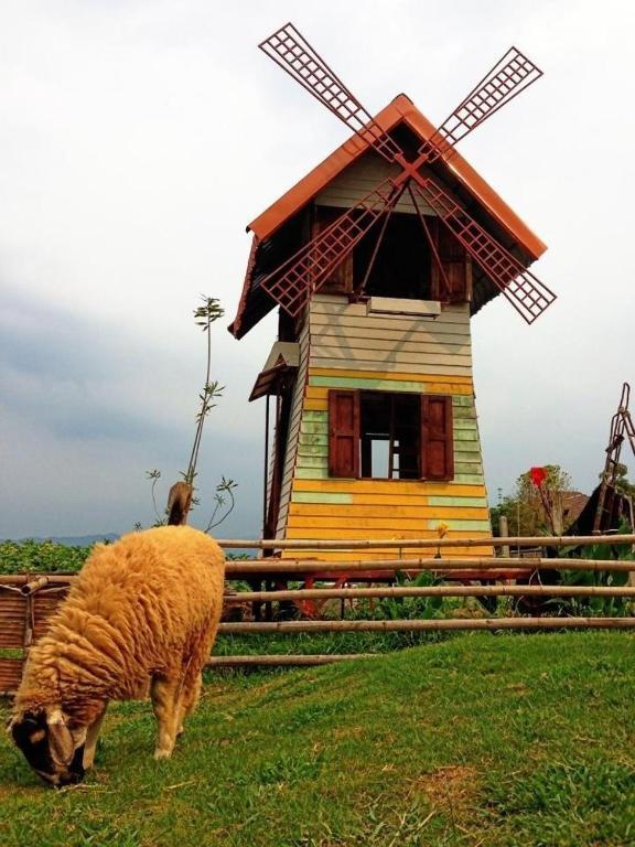 Ruen Kaew Phrae