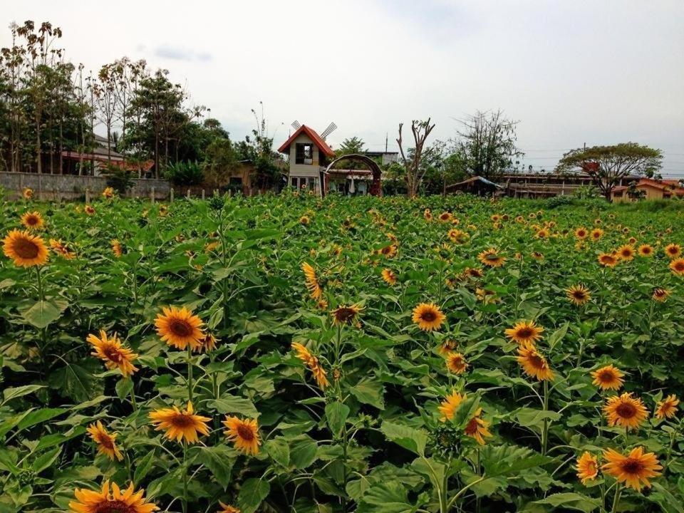 Ruen Kaew Resort