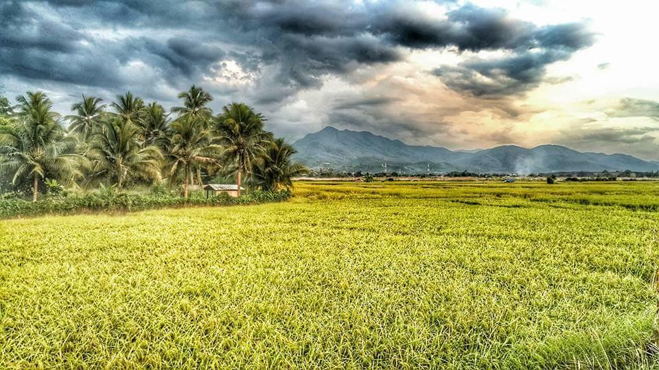 Above The Sea Maesariang Mae Sariang