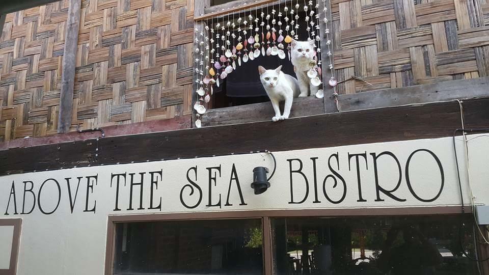 Guest house Above The Sea Maesariang Mae Sariang