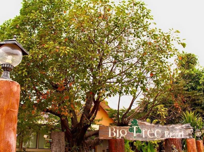 Resort Maiyai - Big Tree 4*