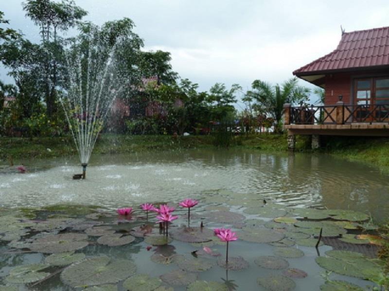 Maesai Doi View Ban Dong Ma Tun