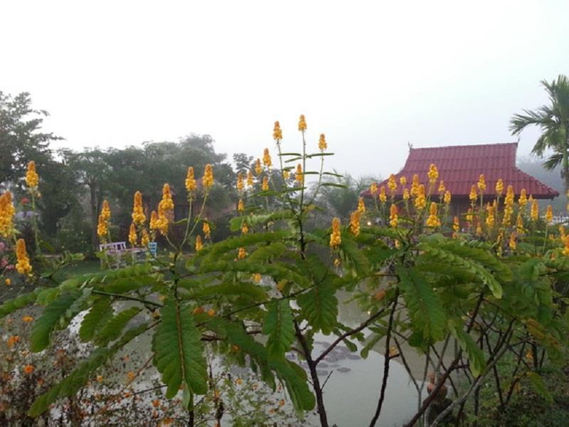 Chalet Maesai Doi View Ban Dong Ma Tun