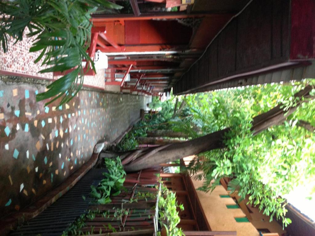 Relax Chaweng (Koh Samui)