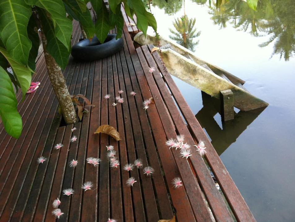 Resort Baansuanleelawadee