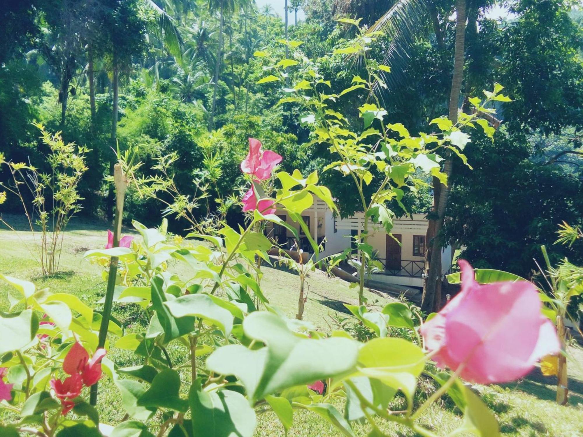Hotel Mali Samui Lamai Beach (Koh Samui)