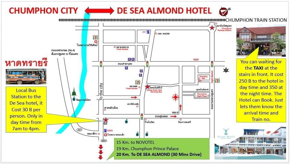 De Sea Almond