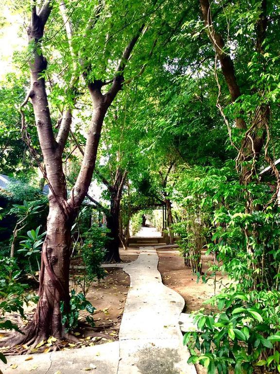 Resort Free House Bophut