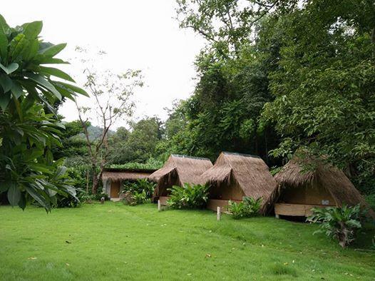 Bamboo Hut