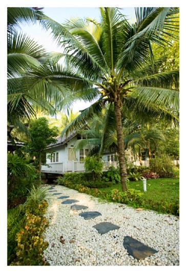 Young Coconut Garden 2* Amphawa